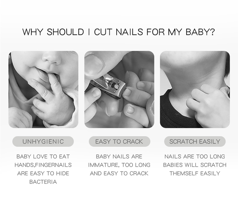 三吉-仙人掌套装-详情页-英文版2024.12_02